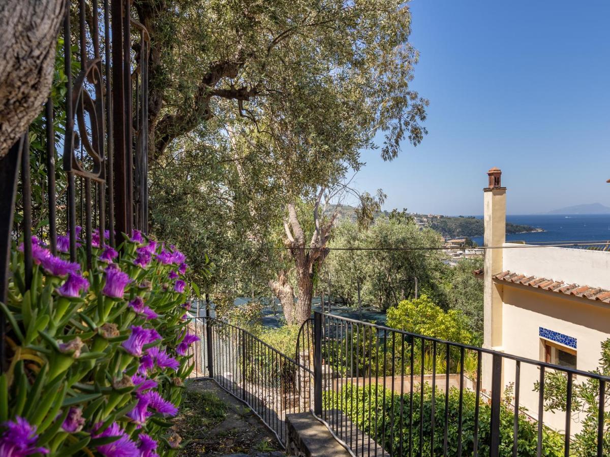 Ulivi Apt Villa Península Sorrentina Exterior foto