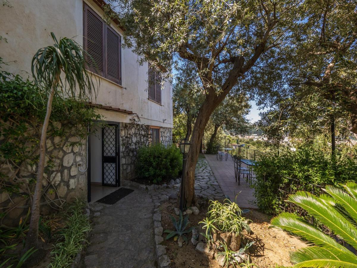 Ulivi Apt Villa Península Sorrentina Exterior foto